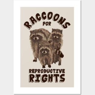 Raccoons For Reproductive Rights Posters and Art